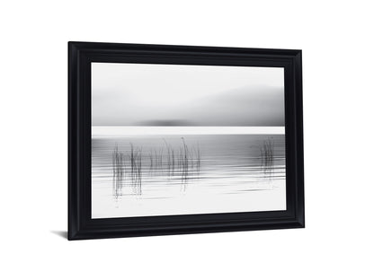 Whispering Reeds - 28" x 34" Framed Wall Art - Gray