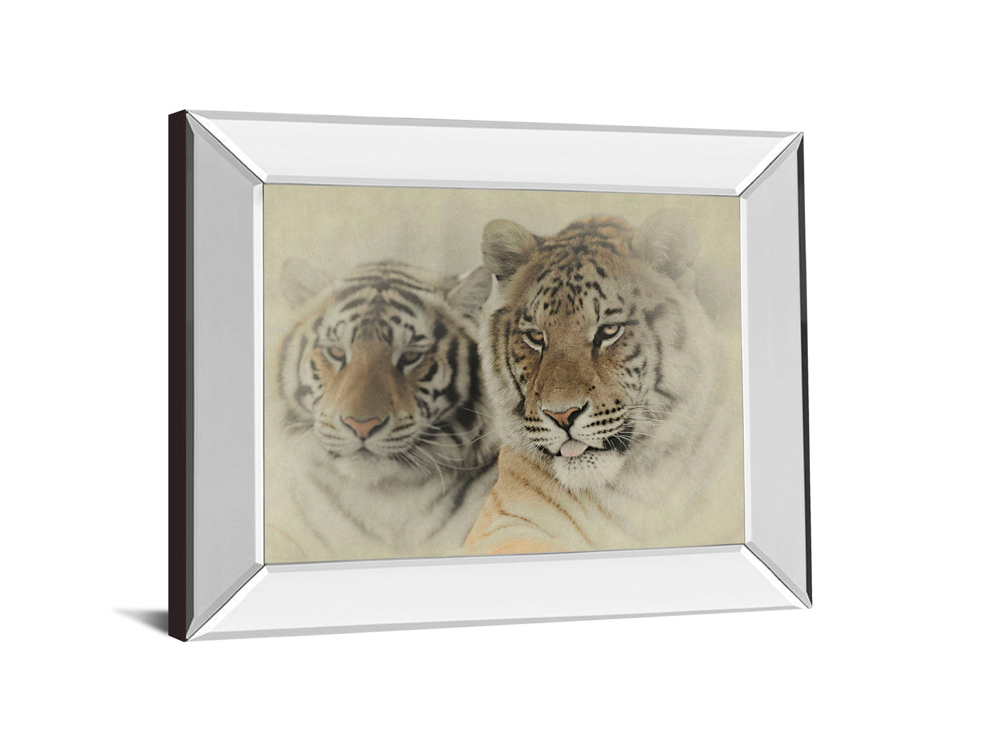 Mystic Realm By Wink Gaines - Mirror Framed Print Wall Art - Beige