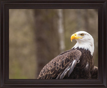 Stoic Watcher - 28" x 34" Framed Wall Art