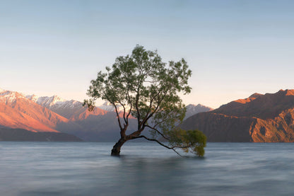 Solitary Dawn Reflection - 40" x 60" Framed Wall Art