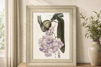 22x26 Lavender Beauties V By Edwards - Pink