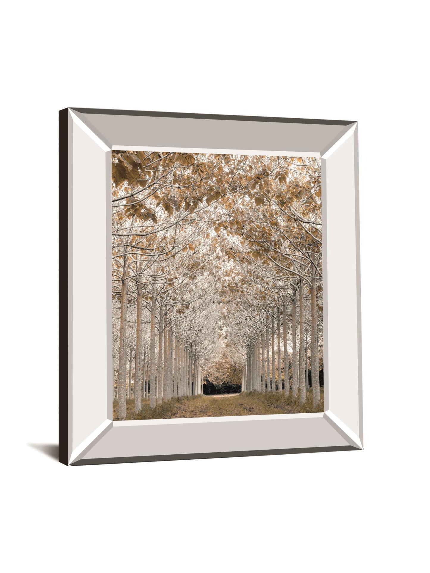 White Gold By Assaf Frank - Mirror Framed Print Wall Art - Pearl Silver