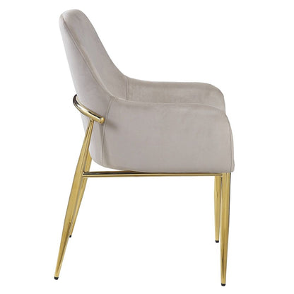 Barnard - Side Chair (Set of 2) - Gray Velvet & Mirrored Gold