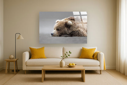 "Serene Slumber" Tempered Glass - Brown / Gray