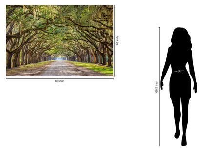 Tempered Glass With Foil - Oak Alley - Green