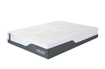 MLILY WellFlex - 1.0 Firm Mattress