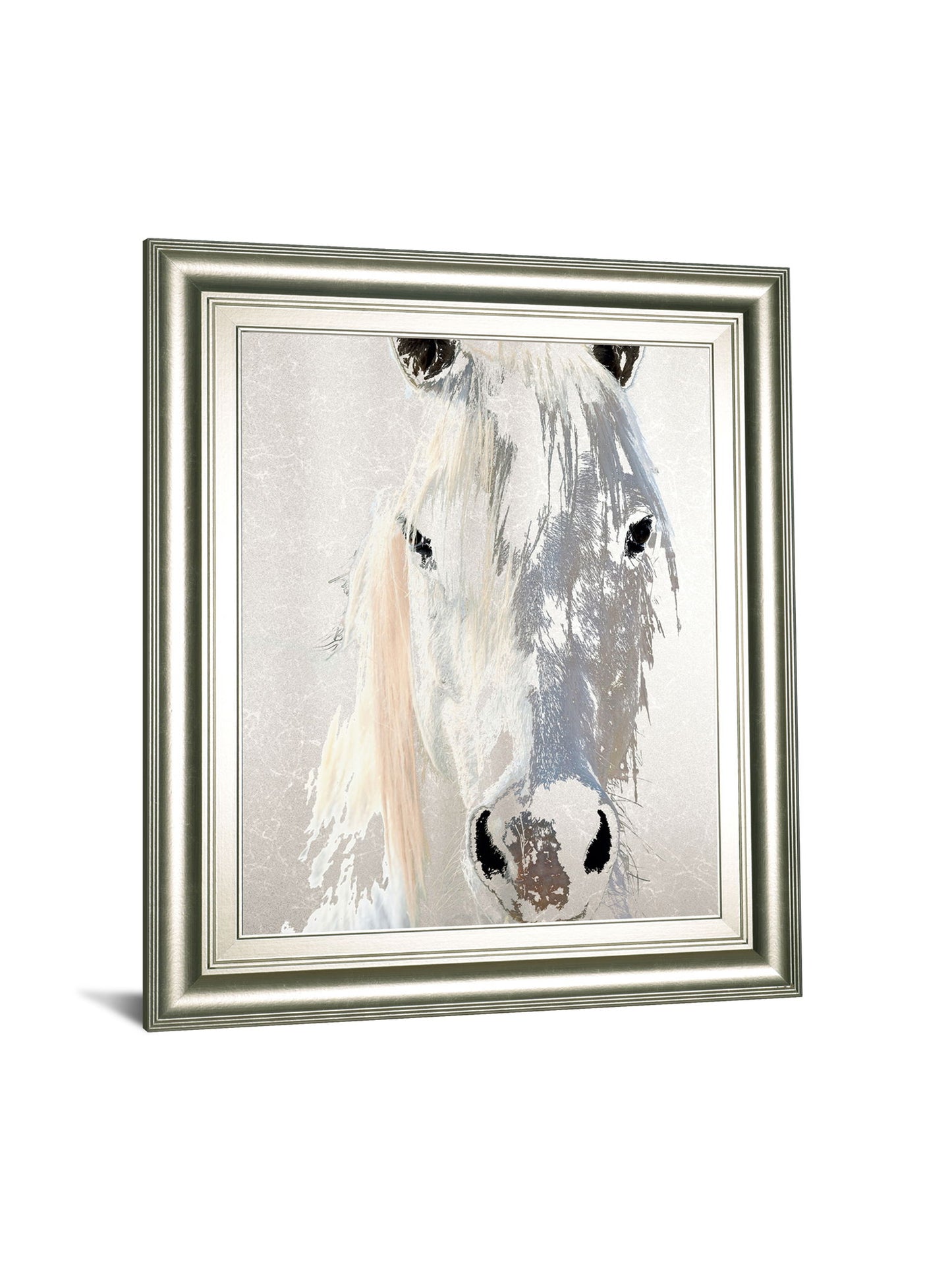 Sage By Marvin Pelkey - Framed Print Wall Art - Pearl Silver