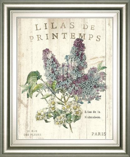 Lilas De Printemps By Sue Schlabach 22x 26 - Beige