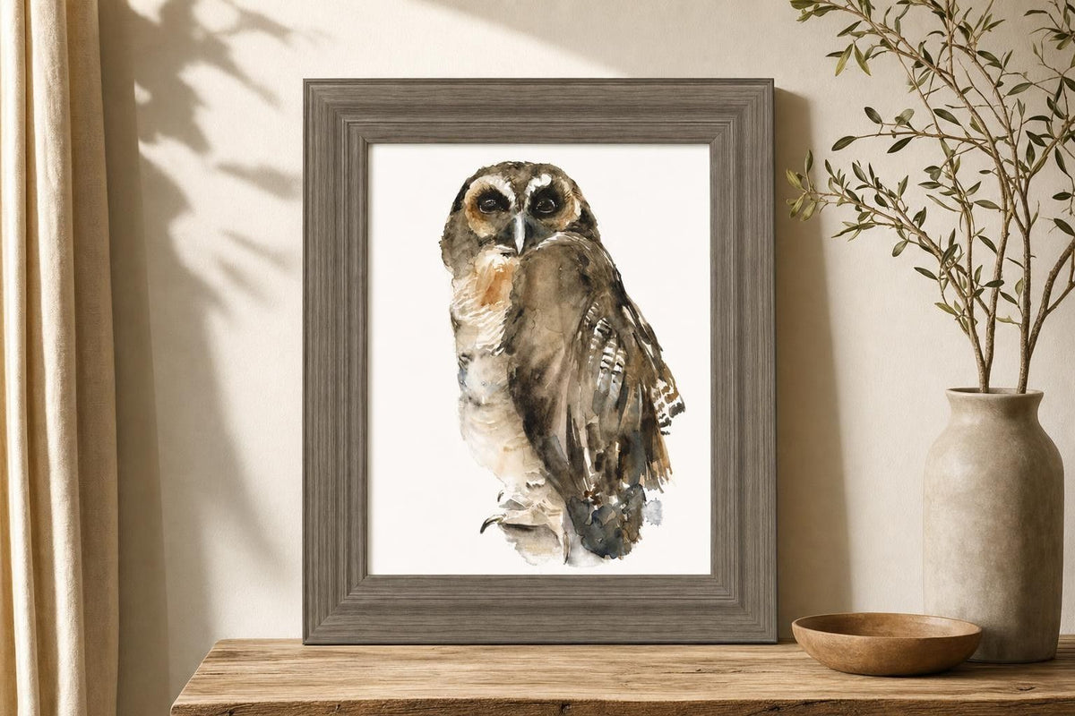 22x26 Watercolor Owl I By Jennifer Paxton Parker - Dark Gray