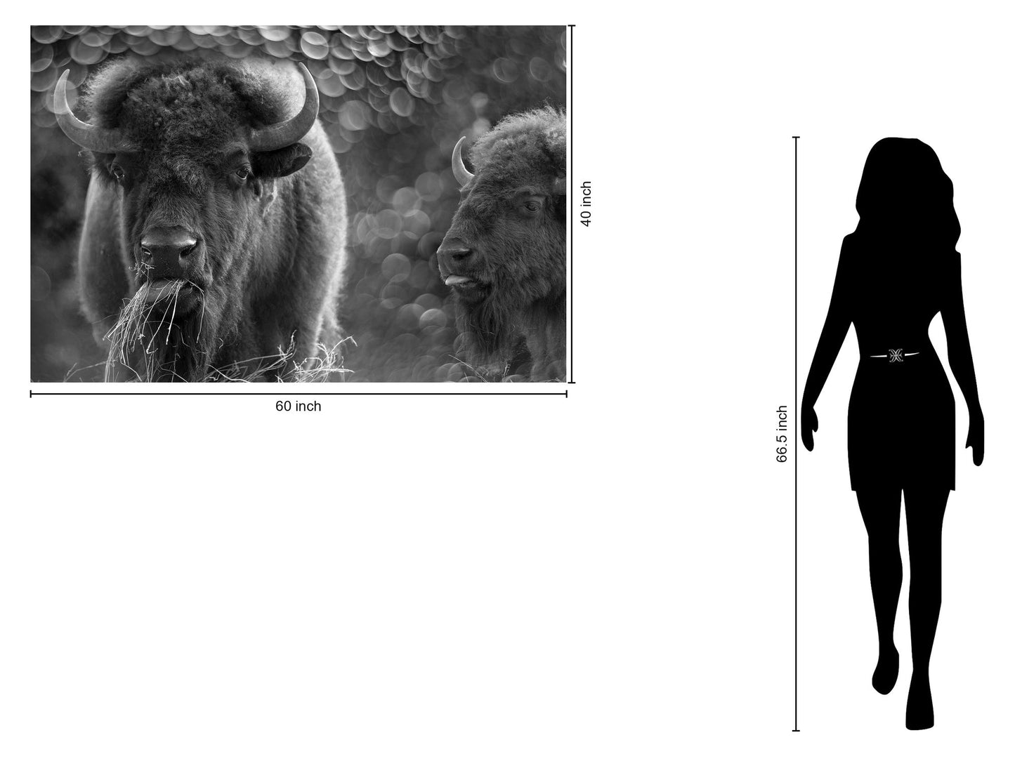 Tempered Glass With Foil - Bison Duo - Dark Gray