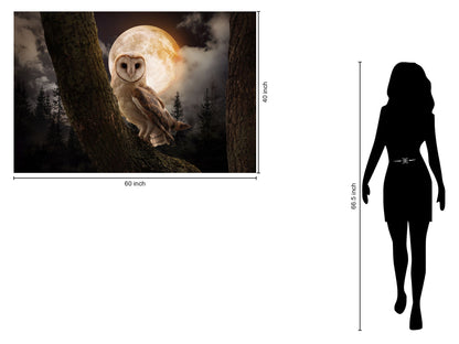 Tempered Glass With Foil - Night Owl - Dark Gray