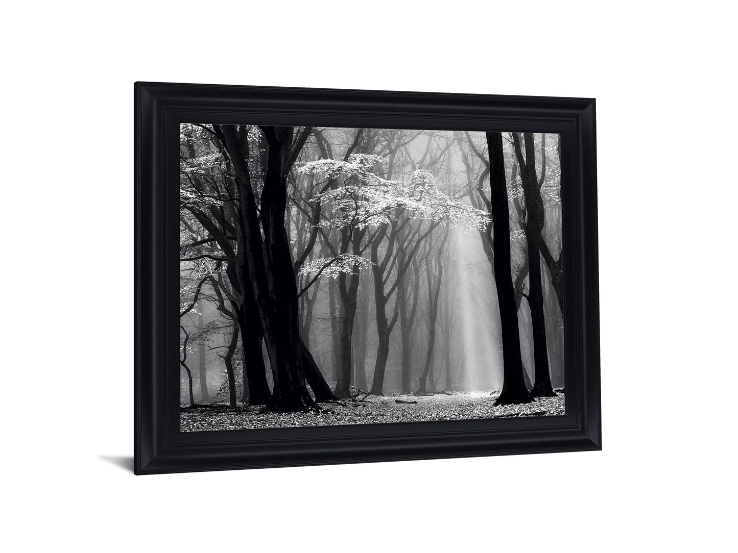 Silent Grove Shadows - 28" x 34" Framed Wall Art