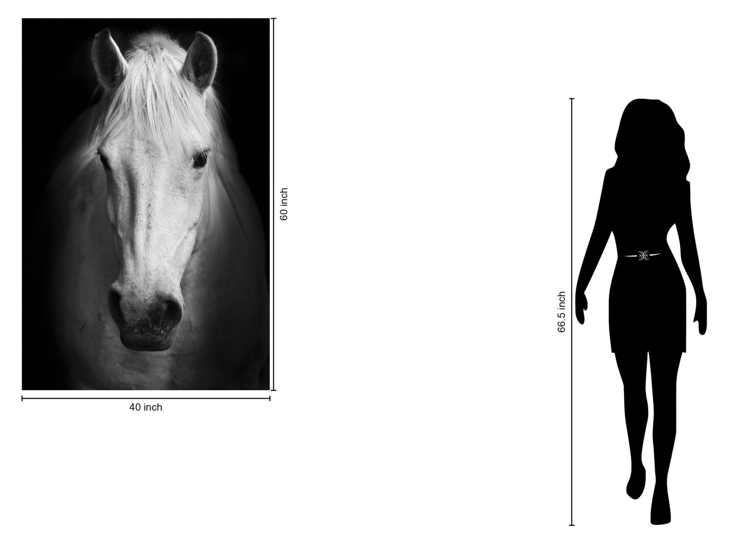 Temp Glass With Foil - White Horse - Black