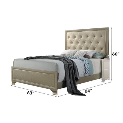 Carine - Queen Bed - Synthetic Leather & Champagne