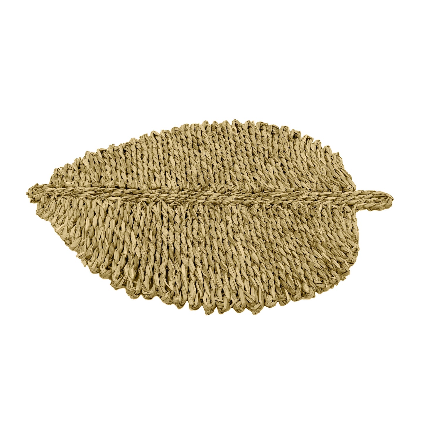 Leaf - Seagrass Placemat (Set of 4)