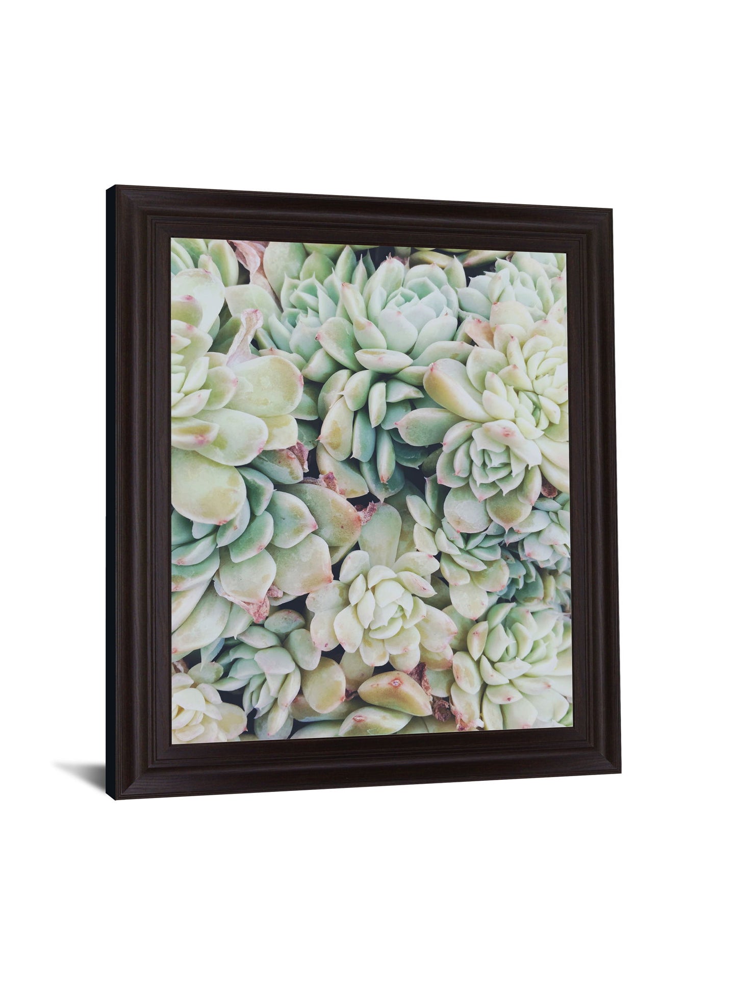 Verdant Rosette Cluster - 28" x 34" Framed Wall Art