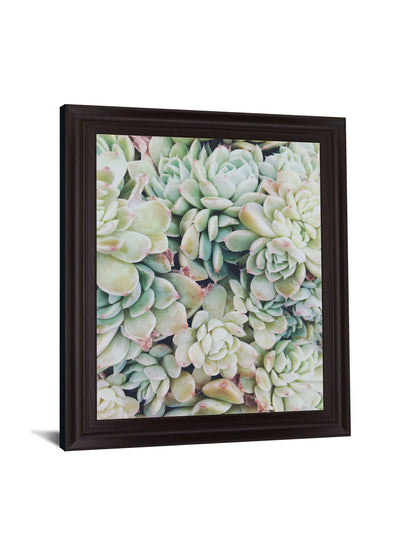 Verdant Rosette Cluster - 28" x 34" Framed Wall Art