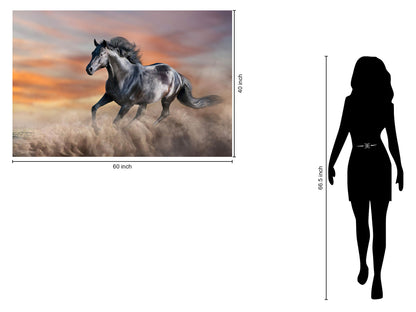 Tempered Glass With Foil - Running Horse - Dark Gray
