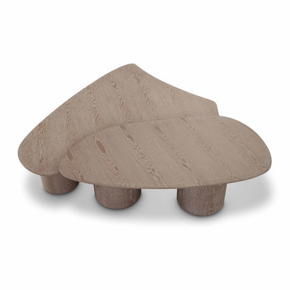 Rhema - Nesting Coffee Table (Set of 2) - Washed Ash