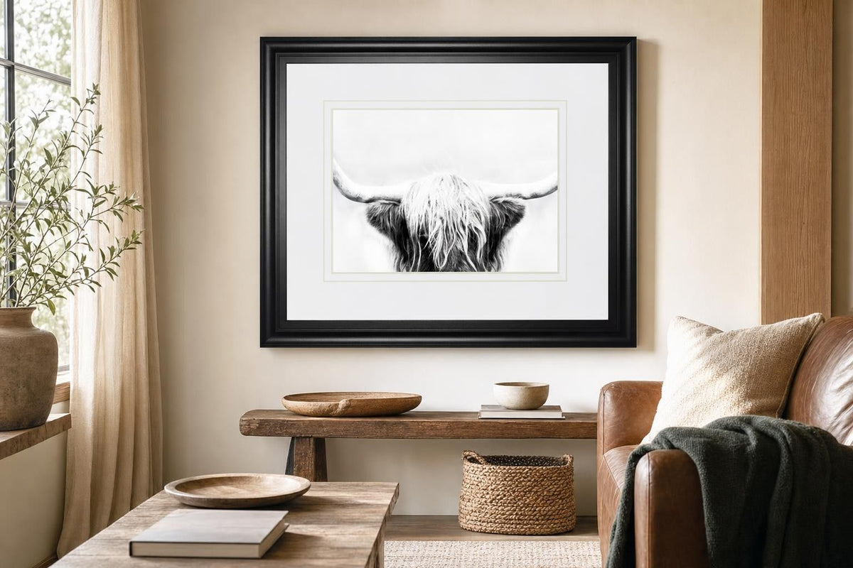 34x40 Longhorn By Danita Delimont - Dark Gray