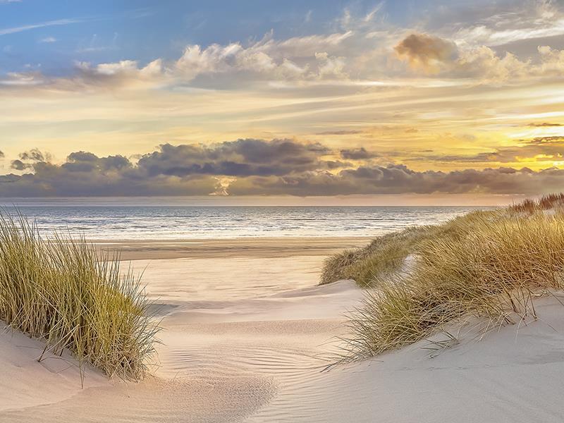 Pink Sand Sunset By Mike Calascibetta - Blue