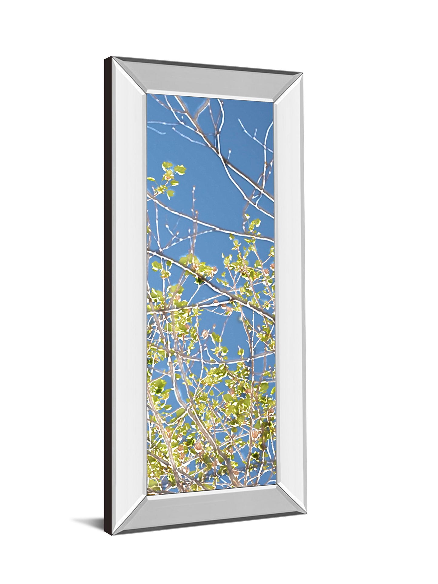 Spring Poplars IV By Sharon Chandler - Mirror Framed Print Wall Art - Green