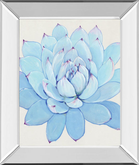 Pastel Succulent II By Tim OToole - Light Blue